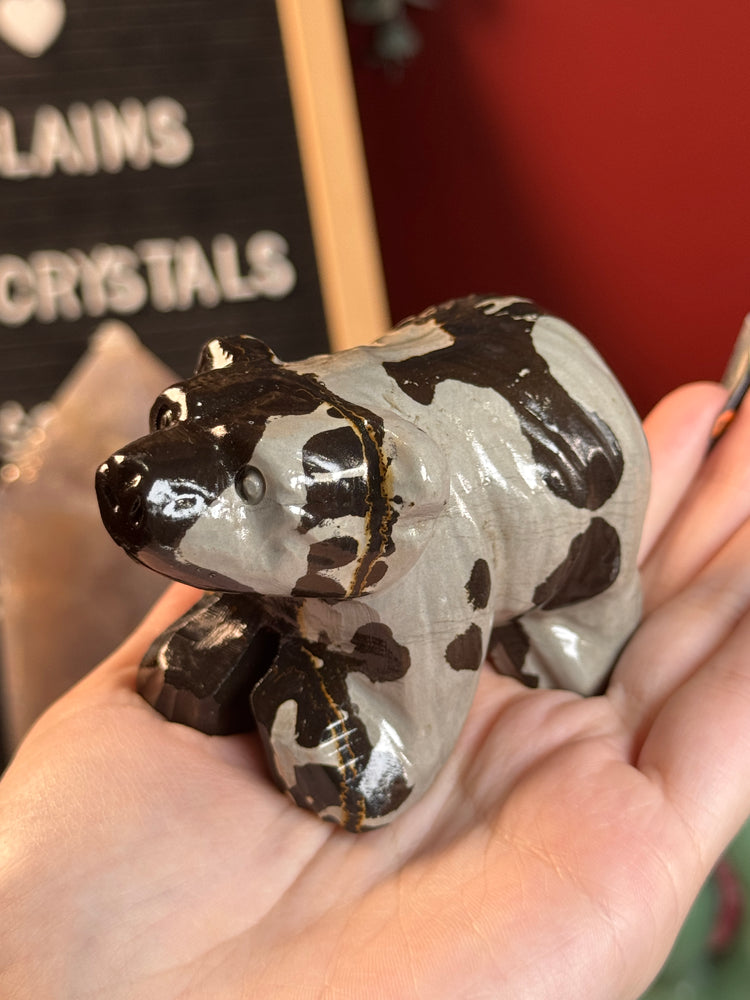 Picture Jasper Bear