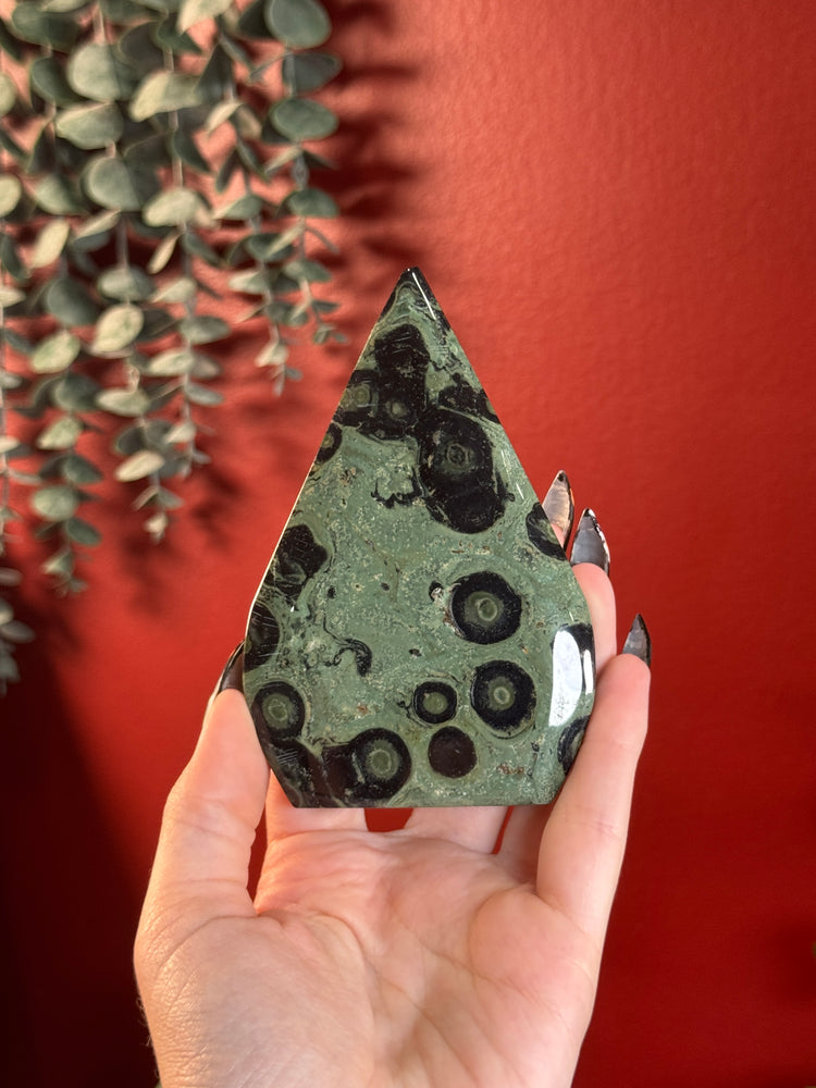 Kambaba Jasper Freeform