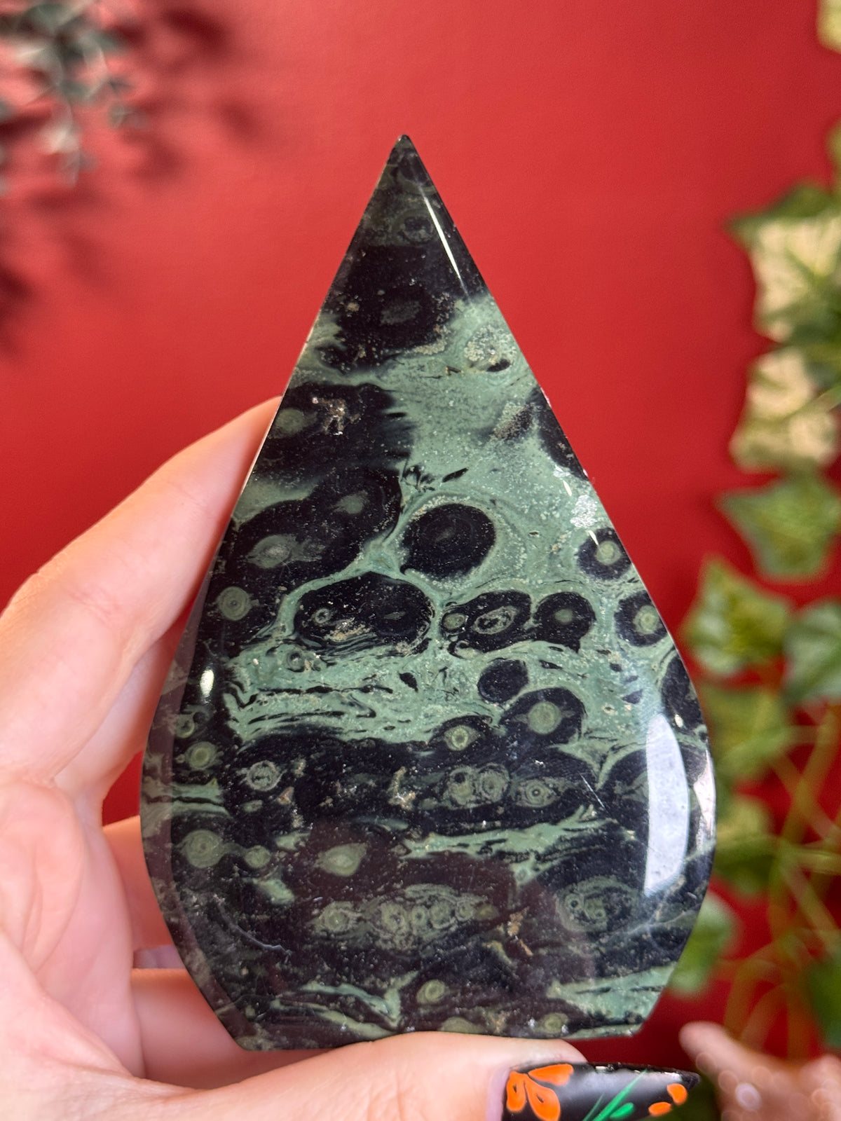 Kambaba Jasper Freeform