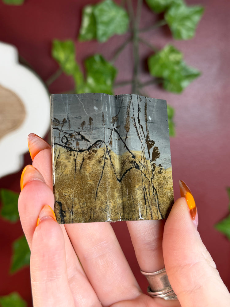 Picture Jasper “Book”