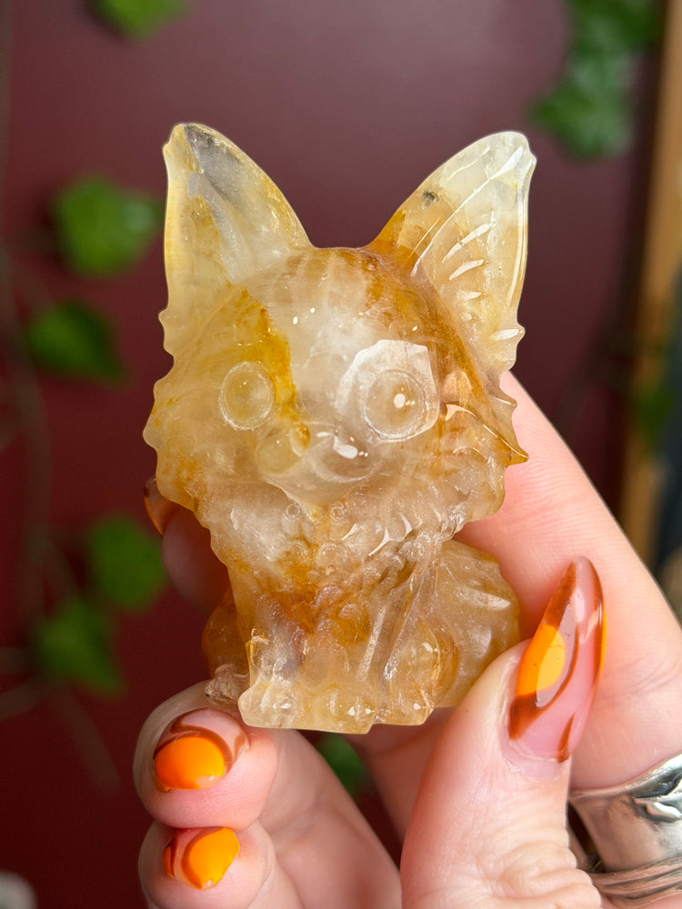 Golden Healer Fox